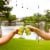 Shiner Lemonade Shandy Summer Seasonal Craft Beer Perspective: right