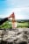 La Vieille Ferme France Rose Wine Perspective: right