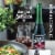 Sangria Senorial Non-Alcoholic Sangria Soda Perspective: right