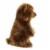 Aurora Medium Brown Miyoni Sitting Pretty 10 inches Grizzly Bear Cub ...