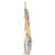 Organic Valley® Organic Provolone Cheese Slices Perspective: right