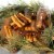 Pet Factory Made in USA Beefhide Chip Rolls Assorted Flavors (Beef & Chicken) - 5", 20 Count Perspective: right