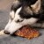 Pet Factory Made in USA Beefhide Chips Assorted Flavors (Beef & Chicken) - 8oz Perspective: right
