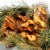 Pet Factory Made in USA Beefhide (Bones & Rolls) Beef & Chicken- 4-6", 25 Ct Perspective: right