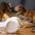 Feathered Tyrannosaurus Rex Toy Perspective: right