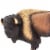 Bison Toy Perspective: right