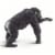 Chimpanzee Perspective: right