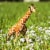 Reticulated Giraffe Toy Perspective: right