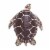 Sea Turtle Perspective: right