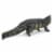 Saltwater Crocodile Perspective: right