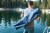 PT-XL Camp Chair, Navy Blue Perspective: right