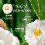 Herbal Essences bio:renew Coconut Milk Hydrating Conditioner Perspective: right