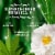 Herbal Essences Hemp Oil Conditioner with Camellia Oil and Aloe Vera Sulfate Free for all Hair Types Perspective: right