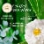 Herbal Essences bio:renew Aloe + Eucalyptus Sulfate Free Shampoo Perspective: right