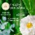 Herbal Essences bio:renew Eucalyptus + Potent Aloe Conditioner Perspective: right