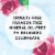 Herbal Essences Color Me Happy Conditioner Perspective: right
