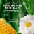 Herbal Essences bio:renew Sulfate-Free Honey & Vitamin B Shampoo Perspective: right