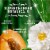 Herbal Essences Apricot Oil Conditioner with Camellia Oil and Aloe Vera Sulfate Free Perspective: right