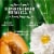 Herbal Essences Apricot Oil Shampoo with Camellia Oil and Aloe Vera Sulfate Free for all Hair Types Perspective: right