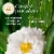Herbal Essences All-in-1 Nourishing Spray with Aloe and Camellia Flower Oil Perspective: right