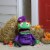 Northlight 23  Purple and Green Witch Unisex Child Trick or Treat Halloween Bag Costume Perspective: right
