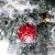 Northlight Pre-Lit Full Flocked Glacier Pine Artificial Christmas Tree - 7.5' Multi LED Perspective: right