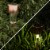 Solar Path Lights  Stainless Steel Outdoor Stake Lighting for Garden, Landscape, Patio, Perspective: right