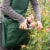 Gardens Alive! Gathering Apron Perspective: right