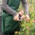 Gardens Alive! Gathering Apron Perspective: right
