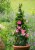 Gardens Alive! Metropolitian Folding Decorative Metal Tuteaur Perspective: right