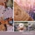 Yankee Candle Pillar Jar Candle Dried Lavendar & Oak Perspective: right