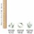 Big Dot of Happiness Boho Botanical Cupcake Toppers Greenery Party Clear Treat Picks Ct Perspective: right