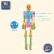 Blue Panda Foam Human Skeleton Puzzle Double Sided, 4 Foot Tall, 15 Pieces Perspective: right