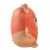 Mattel Star Wars Cuutopia Wicket Plush Toy Perspective: right