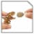 Mattel® Jurassic World Crushivores™ Tyrannosaurus Rex Perspective: right