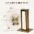 Cardboard and Sisal Cat Scratching Post /w Cardboard Cat Scratching Post Refill Perspective: right