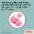 Children's Tylenol Chewables 160 Mg Acetaminophen Bubble Gum Perspective: right