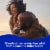 Phillips'® Laxative Caplets Perspective: right
