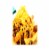 Nutristore Freeze-Dried Cheddar Cheese Shredded (Pack of 20) Perspective: right