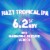 Firestone Walker Mind Haze Hazy IPA Craft Beer Pack Perspective: right
