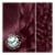 Garnier Nutrisse Nourishing Permanent Hair Color 42 Deep Burgundy Perspective: right