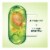 Garnier Fructis Sleek And Shine Leave In Conditioner Perspective: right