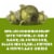 Frontera® Chicken Verde Bowl Frozen Meal Perspective: right