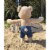Bear Jean Shorts Perspective: right