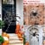 Halloween Decorations Spider Outdoor 59inch Halloween Spider Perspective: right