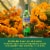 Del Maguey Mezcal Vida Perspective: right