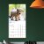 2022 Puppies 12 Month Wall Calendar by TF Publishing Perspective: right