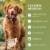Freshpet Healthy & Natural Dog Food, Fresh Plant Based Protein & Egg Patties with Apple & Cheese Perspective: right