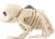 Seasons Frog Skeleton Decoration Perspective: right