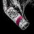 White Claw® Black Cherry Hard Seltzer Perspective: right